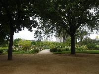CervantesRoseGarden-2013-05-12-f.jpg
