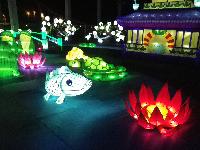 ChineseLanternExhibit-2015-01-16-d.jpg