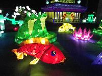 ChineseLanternExhibit-2015-01-16-q.jpg