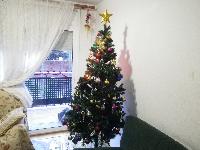 ChristmasTree-2014-12-15-a.jpg