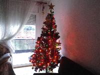 ChristmasTree-2014-12-15-b.jpg