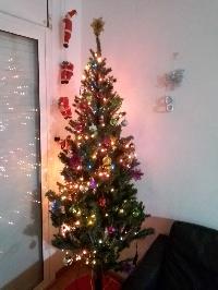 ChristmasTree-Deia-2021-12-05.jpg