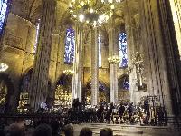 Concert-Cathedral-2014-06-20.jpg
