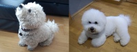 Harry-2023-03-31-BeforeAndAfterGrooming.jpg