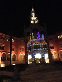 HospitalSanPau-LightShow-2015-01-03-b.jpg