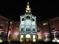 HospitalSanPau-LightShow-2015-01-03-g.jpg