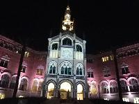 HospitalSanPau-LightShow-2015-01-03-k.jpg