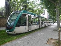 Tram-2013-05-25.jpg