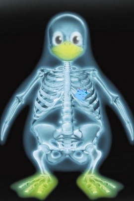 Linux X-ray