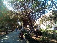Malta-2019-12-25-a.jpg