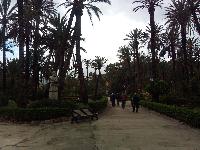 Palermo-VillaBonannoGardens-2018-05-03-a.jpg