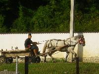 Romania-Fieni-2016-08-25-o.jpg