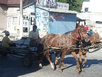 Romania-Fieni-2016-08-27-Misc-a.jpg