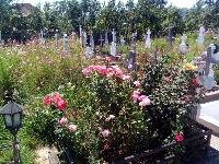 Romania-Fieni-Cemetery-2019-08-23-c.jpg