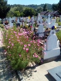 Romania-Fieni-Cemetery-2019-08-23-d.jpg