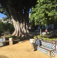 Sevilla-Garden-2019-10-20-a.jpg