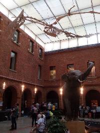 Toulouse-MuseumDeToulouse-2018-06-03-a.jpg