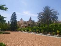 Valencia-Garden-2016-06-03-a.jpg