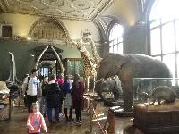 Vienna-NaturalHistoryMuseum-2017-11-04-r.jpg
