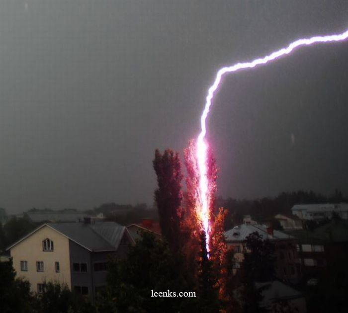 Lightning striking tree